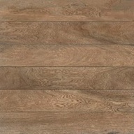 Porcelanato 61517 Deck Eden